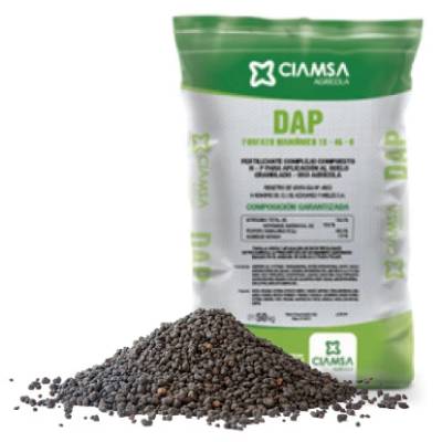 DAP