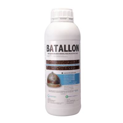 Batallón