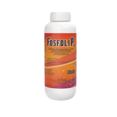FOSFOLIP