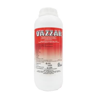 VAZZAR PLUS