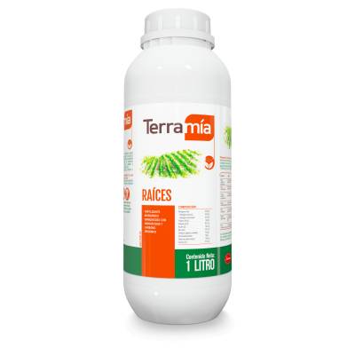 Terramia Raices