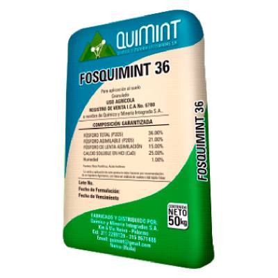 FOSQUIMINT 36