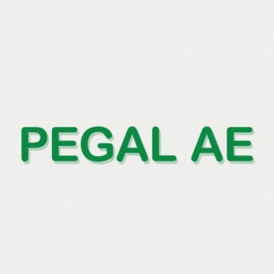 imagen de producto fotosproductos/thumb_producto-pegal_ae-1562126559.jpg