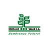 SEMILLAS VALLE