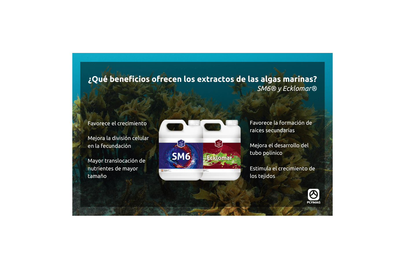 ¡TODOS LOS BENEFICIOS DE LAS ALGAS CON SM6® Y ECKLOMAR®!