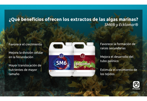 ¡TODOS LOS BENEFICIOS DE LAS ALGAS CON SM6® Y ECKLOMAR®!